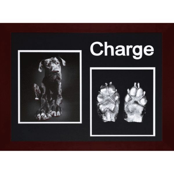Two Pawprints, 8 x 10 Photo & Name Cutout