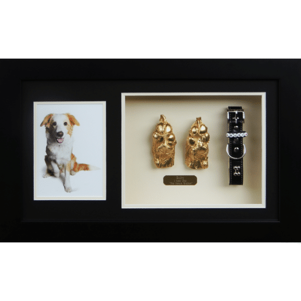 Two Pawprints, Photo & Collar